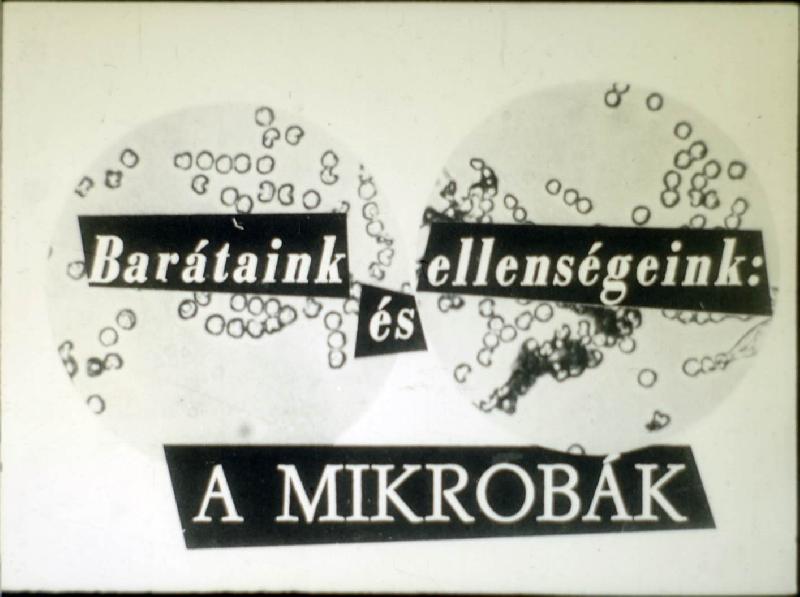Barátaink és ellenségeink a mikróbák