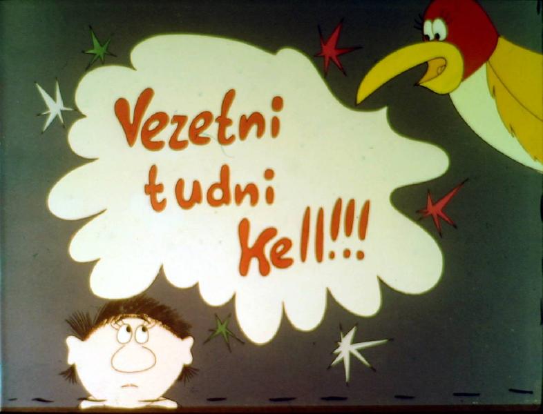 Vezetni tudni kell! III. : Az utasítás