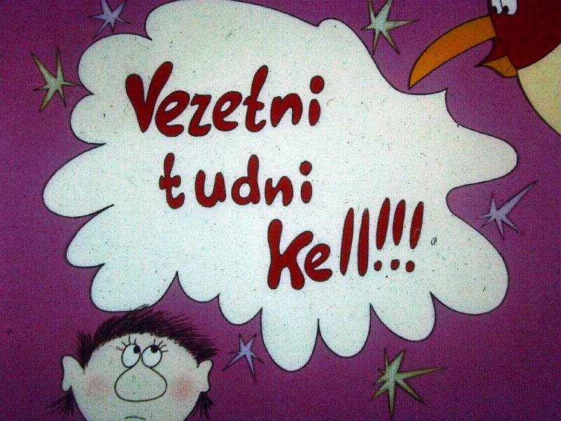 Vezetni tudni kell! Az ellenőrzés