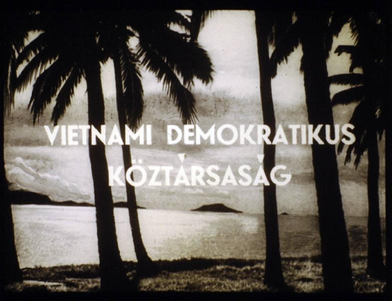 Vietnámi Demokratikus Köztársaság