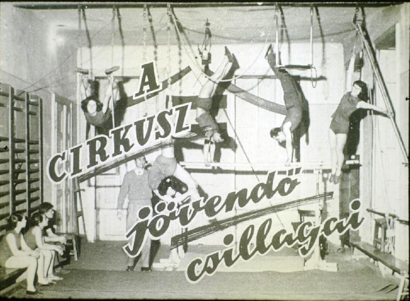 A cirkusz jövendő csillagai