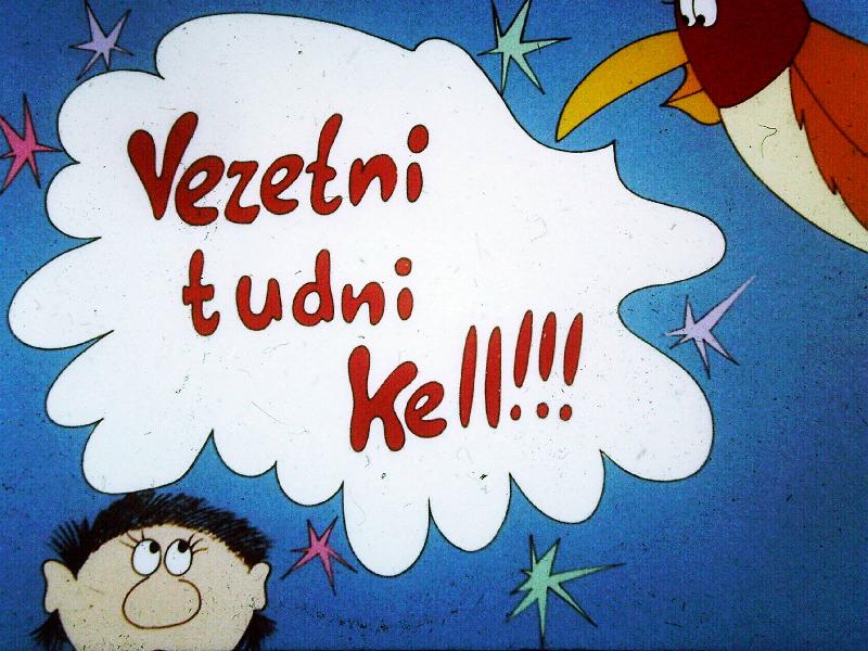 Vezetni tudni kell! : A döntés