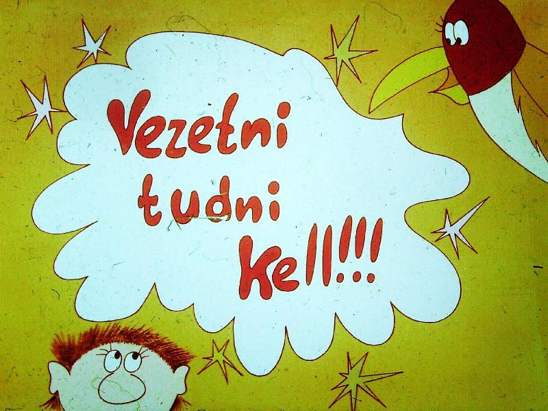 Vezetni tudni kell! : A szervezés