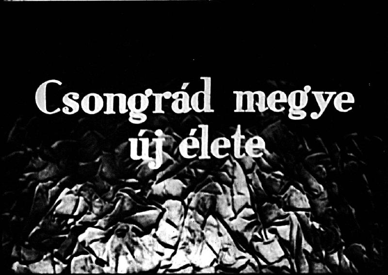 Csongrád megye új élete
