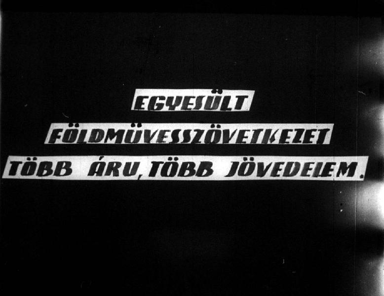 Egyesült földművesszövetkezet : Több áru, több jövedelem