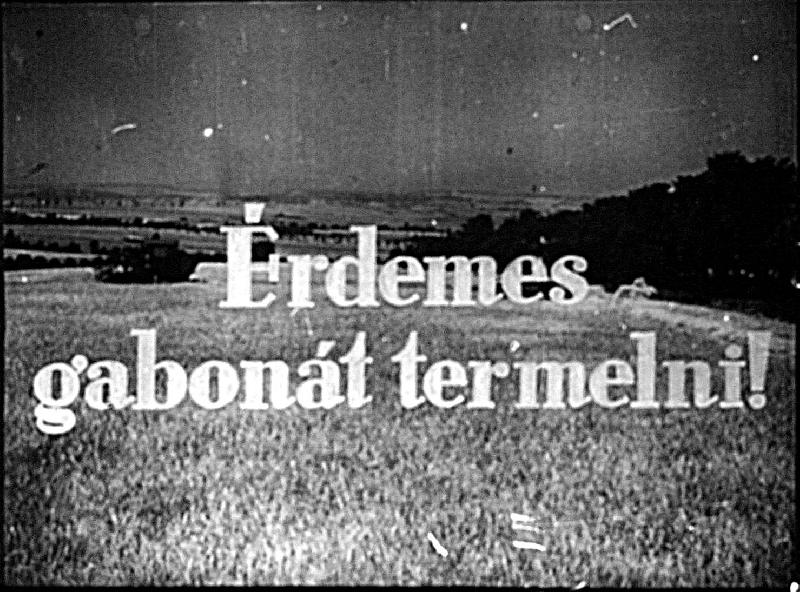 Érdemes gabonát termelni