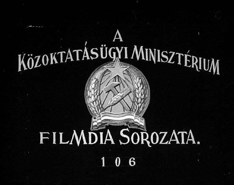 Ernyősvirágzatuak és buzérfélék