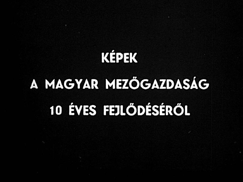 Képek a magyar mezőgazdaság 10 éves fejlődéséből 1. rész : Állattenyésztés