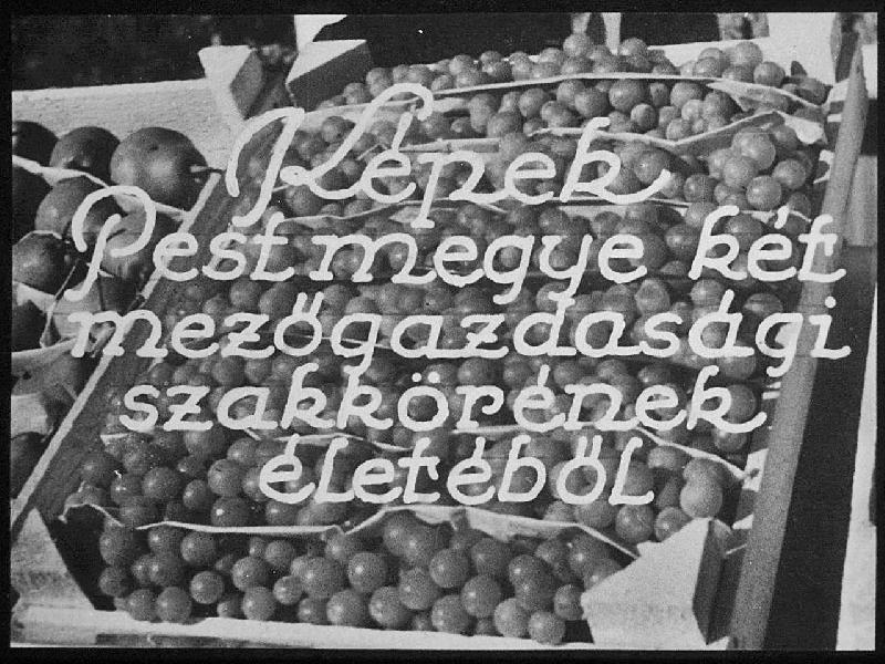 Képek Pest megye két mezőgazdasági szakkörének életéből