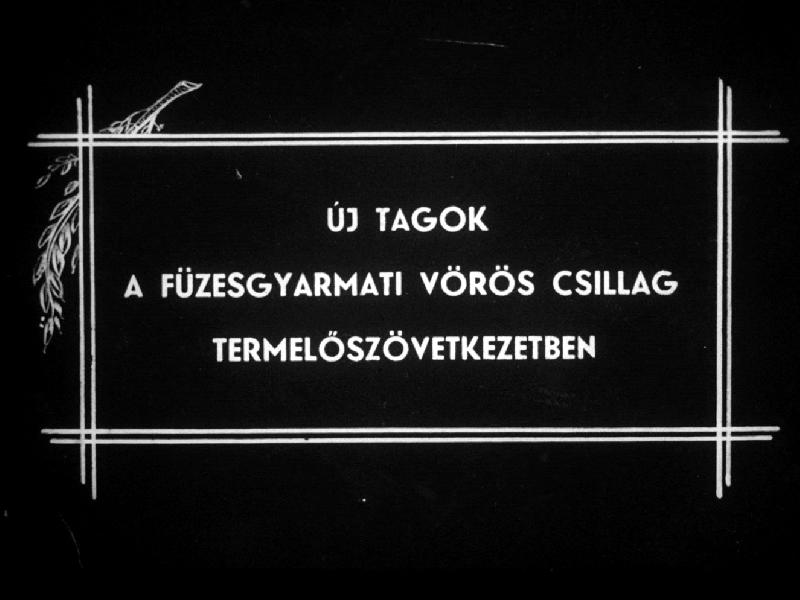 Új tagok a füzesgyarmati Vörös Csillag termelőszövetkezetben