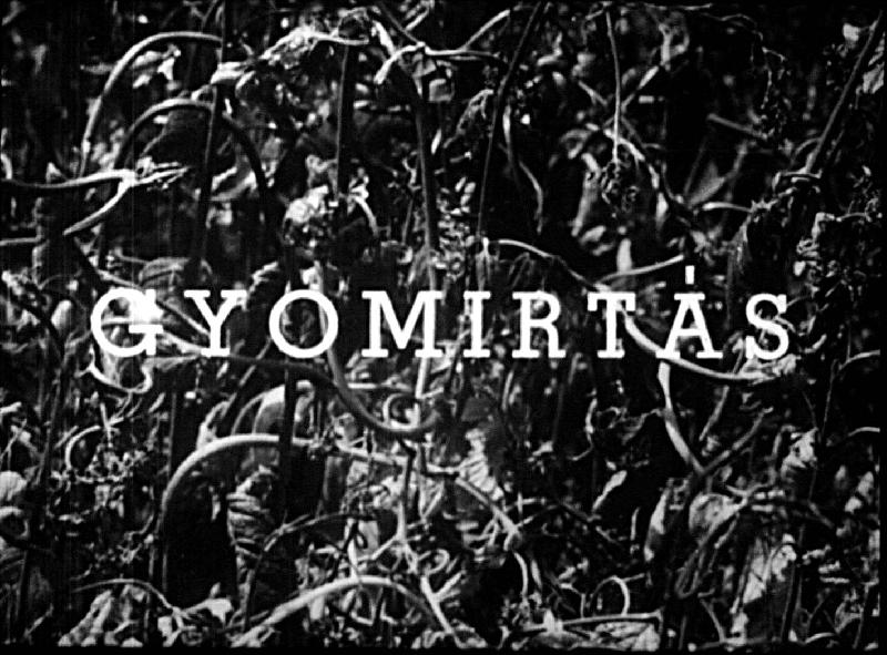 Gyomírtás