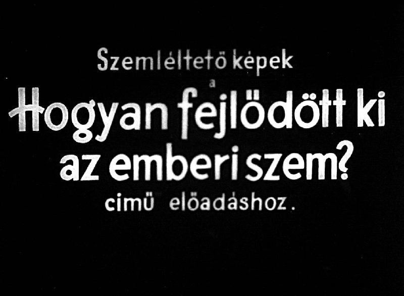 Hogyan fejlődött ki az emberi szem?