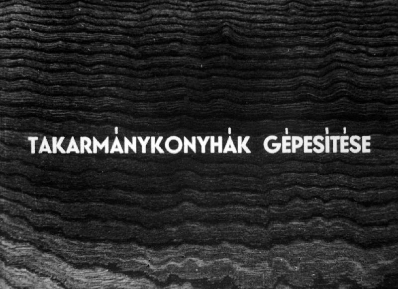 Takarmánykonyhák gépesítése