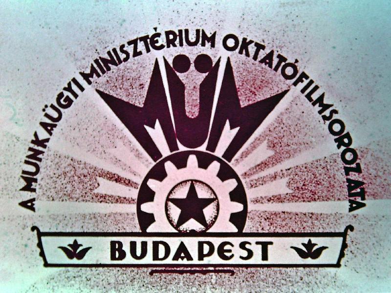 Kozmetikus és fodrász szakmában oktatott bőrbetegségek I.és bőrrendellenességek