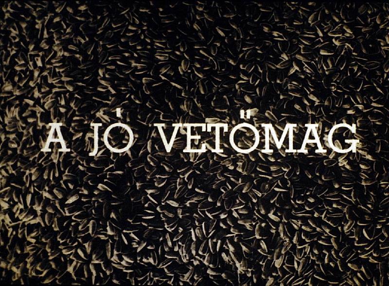 A jó vetőmag