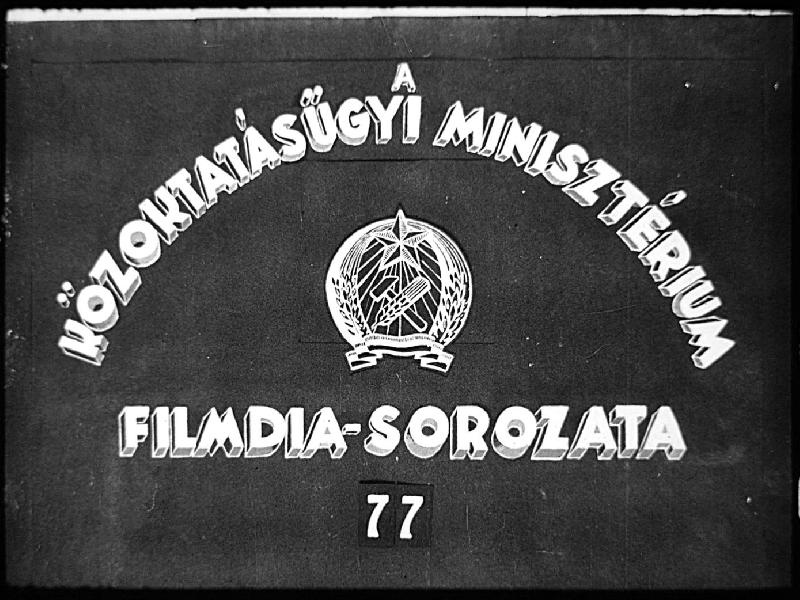 A légzés és hangadás szervrendszere