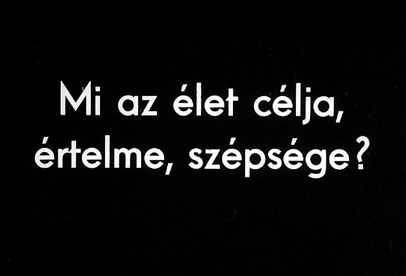 Mi az élet célja, szépsége, értelme?