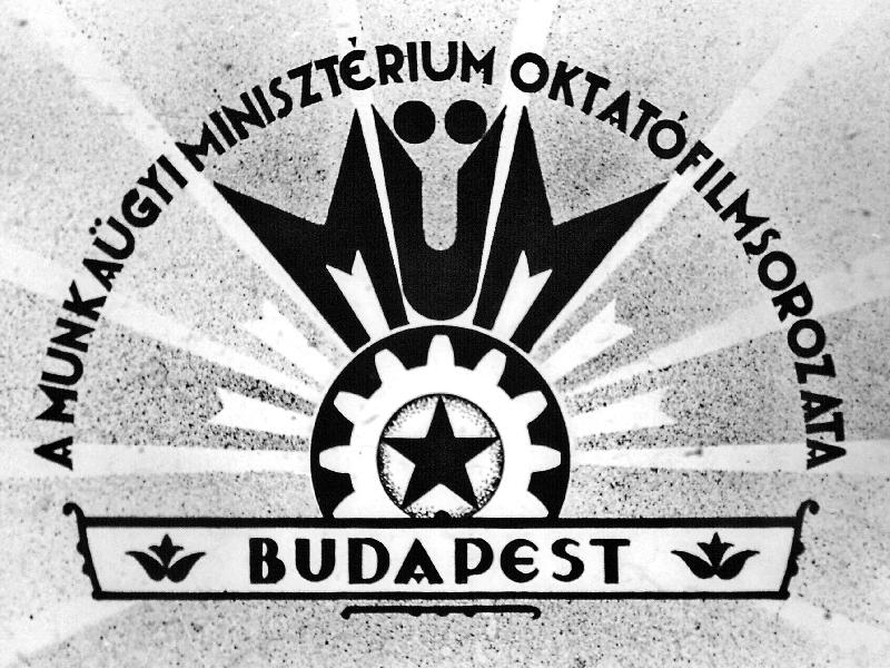 A fa természetes és mesterséges szárítása