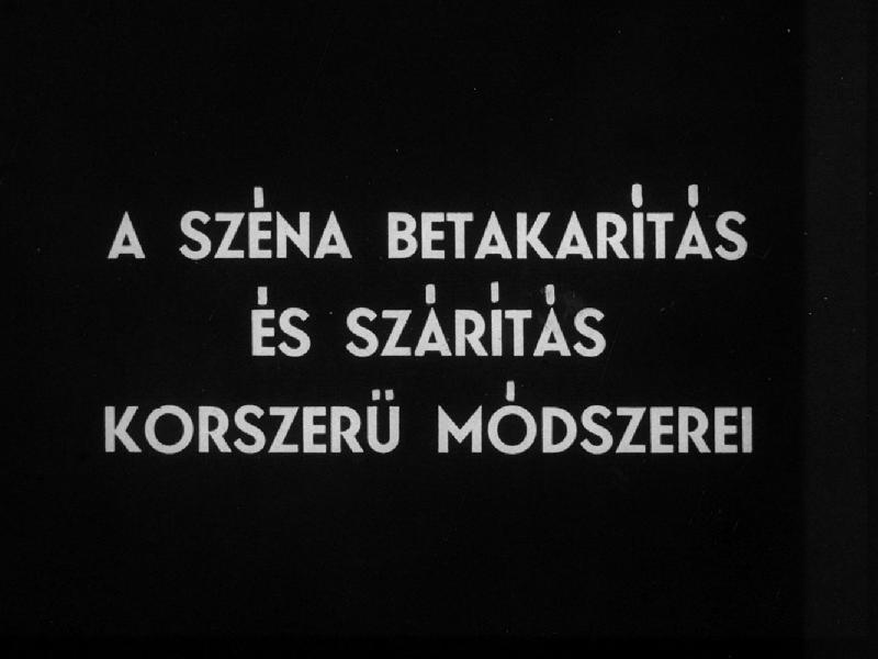 A széna betakarítés és szárítás korszerű módszerei