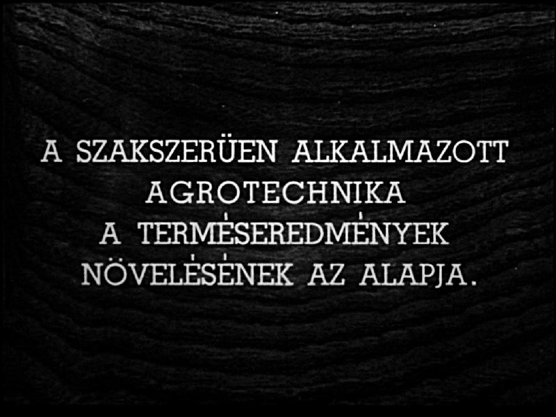 A szakszerüen alkalmazott agrotechnika