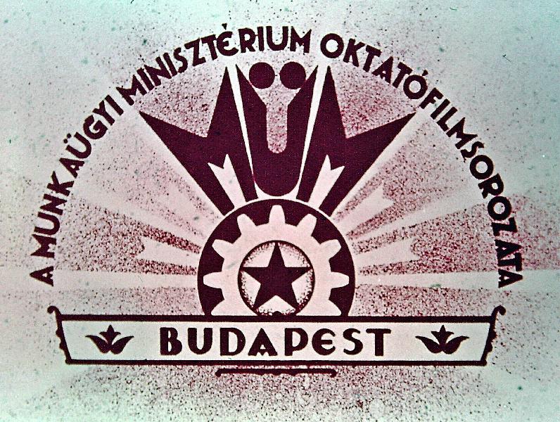 Kozmetikus és fodrász szakmában oktatott bőrbetegségek és bőrrendellenességek II.