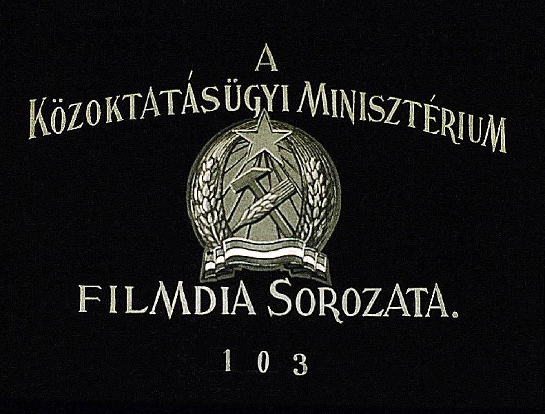 Rózsafélék és rokonaik