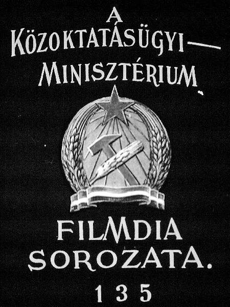 Az anyagcsere szervrendszere : Kiválasztószervek