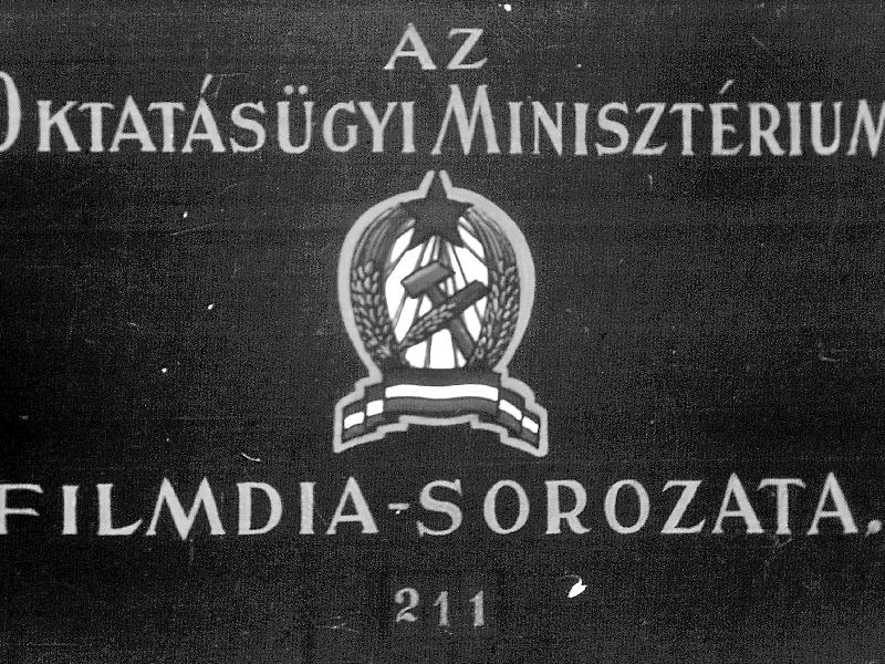 Betegség terjesztő ízeltlábúak