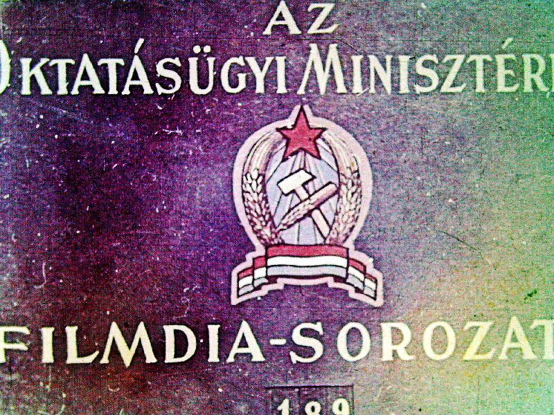 Ember szervezete : 22.
