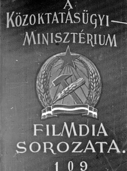 Pipacsvirágúak rendje