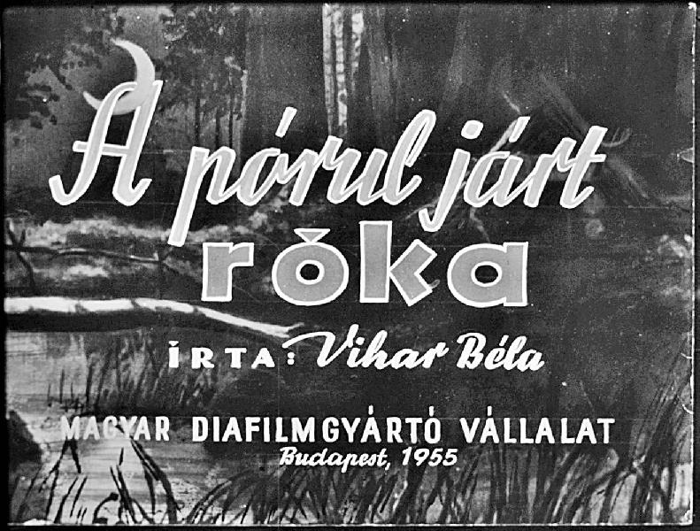 A pórul járt róka