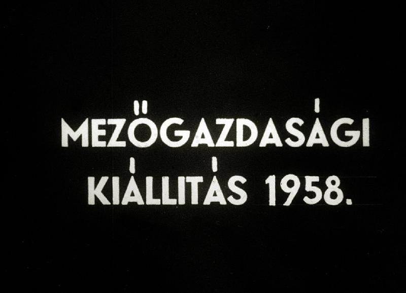 Mezőgazdasági kiállítás 1958
