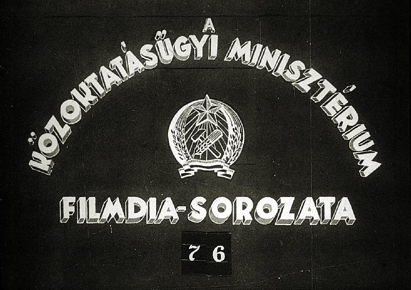 Anyagcsere szervrendszere : A vérkeringés szervrendszere