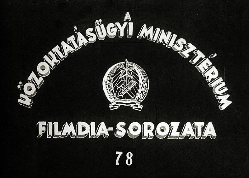 Ember szervezete sorozat : Emésztő szervrendszer