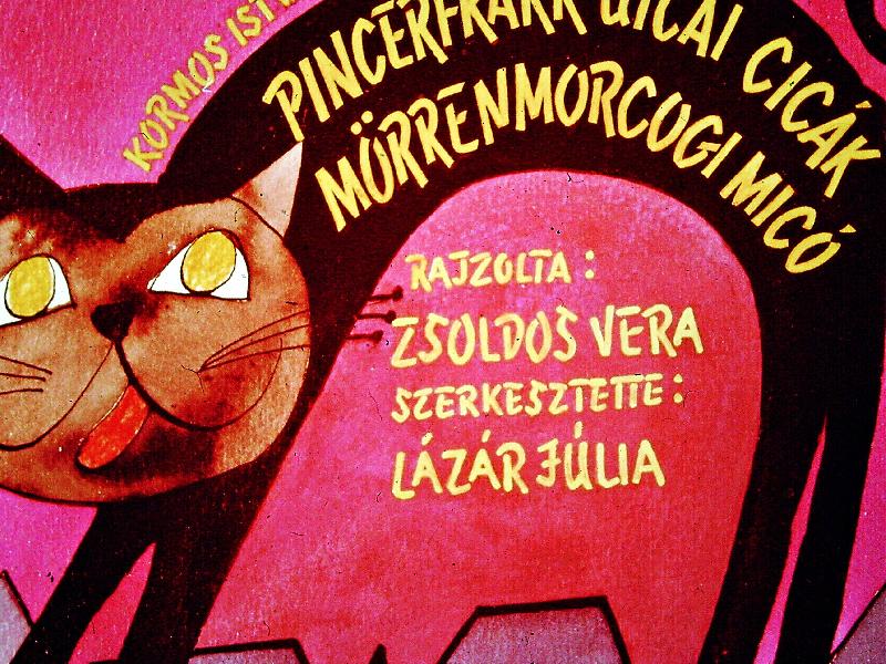 Pincérfrakk utcai cicák