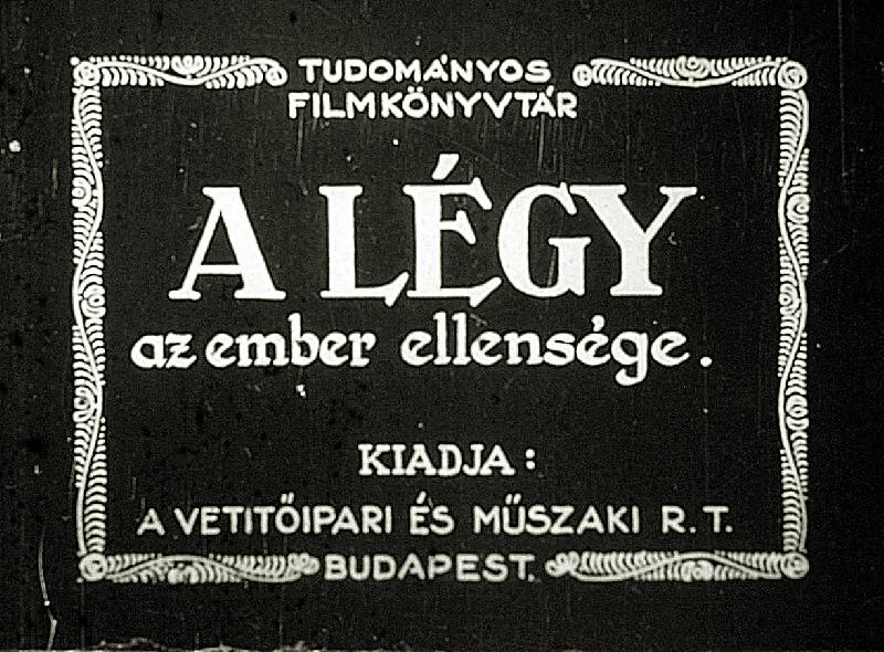 A légy az ember ellensége