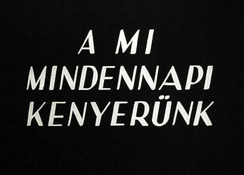 A mi mindennapi kenyerünk II.