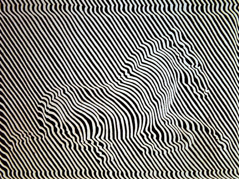 Victor Vasarely (1908 -