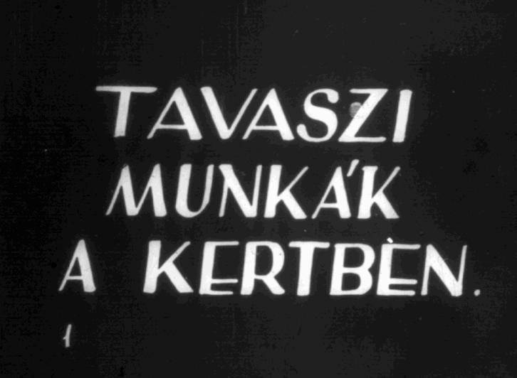 Tavaszi munkák a kertben I.