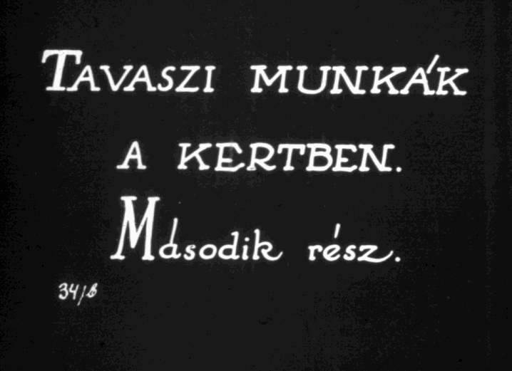 Tavaszi munkák a kertben II.