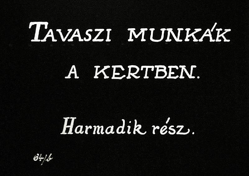 Tavaszi munkák a kertben III.