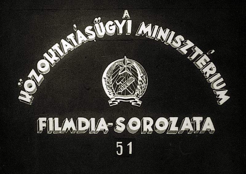 Ember szervezete sorozat : Szövettan