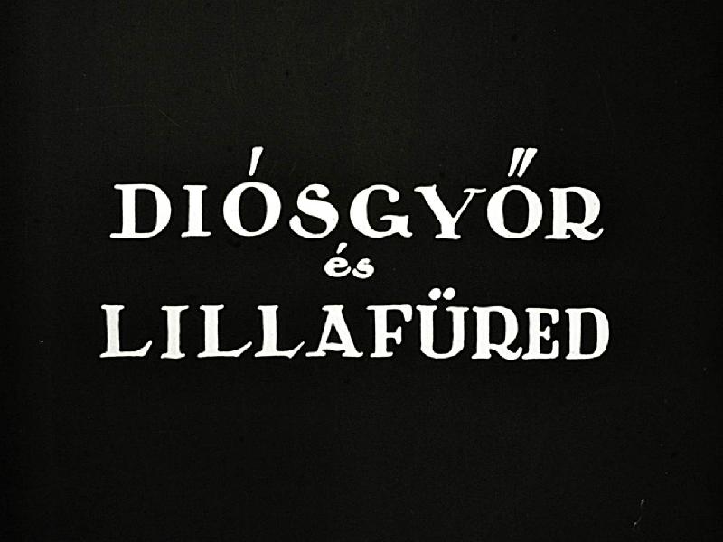 Diósgyőr és Lillafüred II.