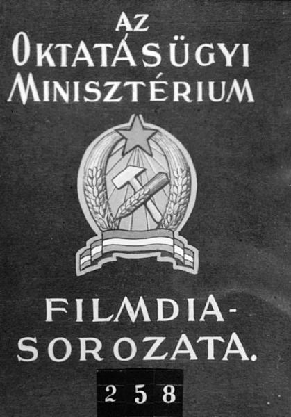 Arany János élete és pályája II.