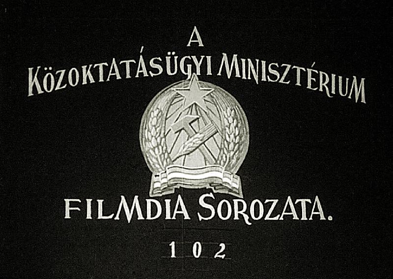 Boglárkafélék és rokonaik