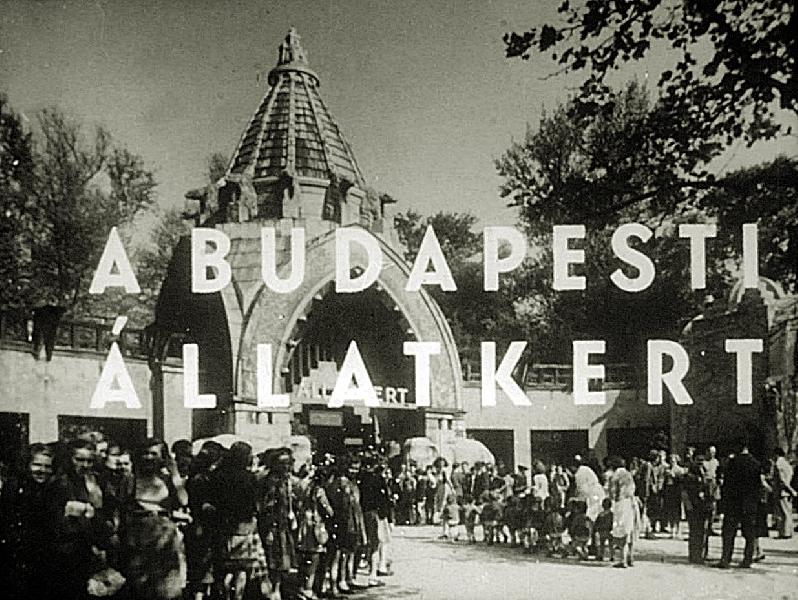 A budapesti állatkert