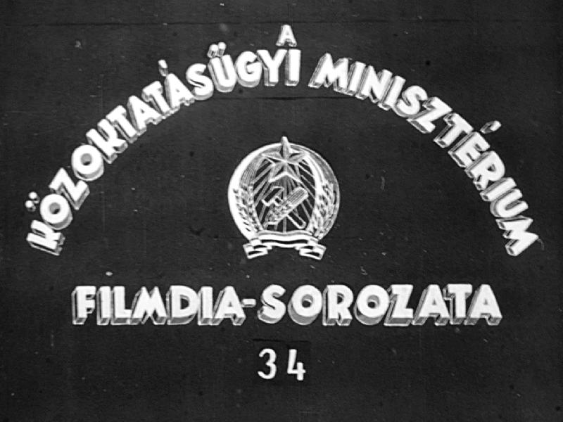 Növénytakaró