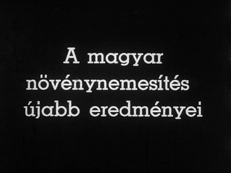 A magyar növénynemesítés újabb eredményei II.