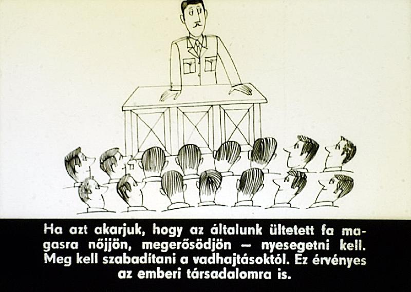 Vadhajtások
