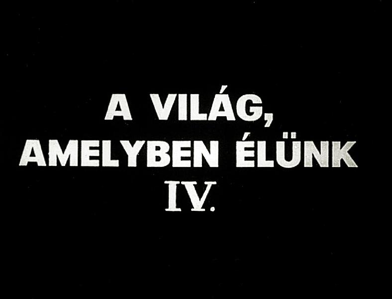 A világ, amelyben élünk IV.